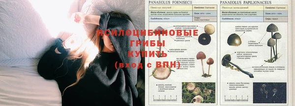 бутират Армянск