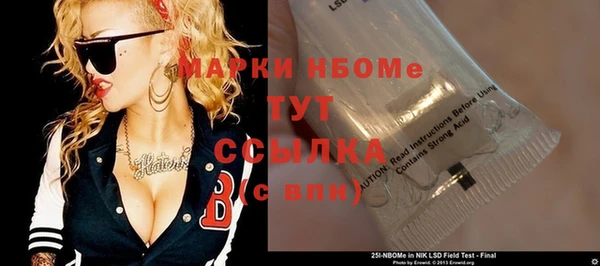 индика Аркадак