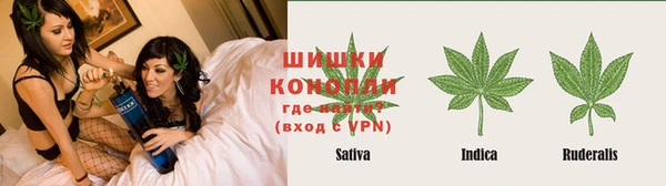 индика Аркадак