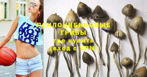 индика Аркадак