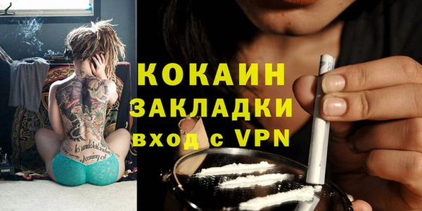 индика Аркадак