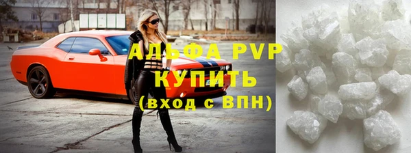 индика Аркадак