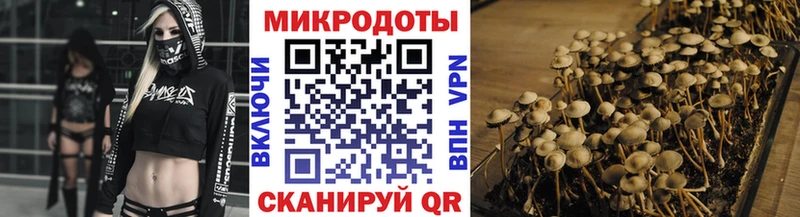 Псилоцибиновые грибы Psilocybine cubensis  Вязьма 